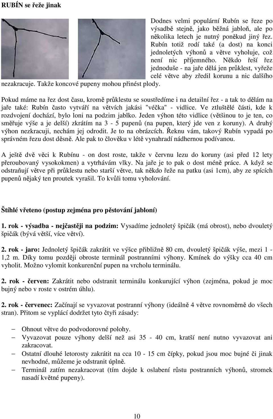 Někdo řeší řez jednoduše - na jaře dělá jen průklest, vyřeže celé větve aby zředil korunu a nic dalšího nezakracuje. Takže koncové pupeny mohou přinést plody.