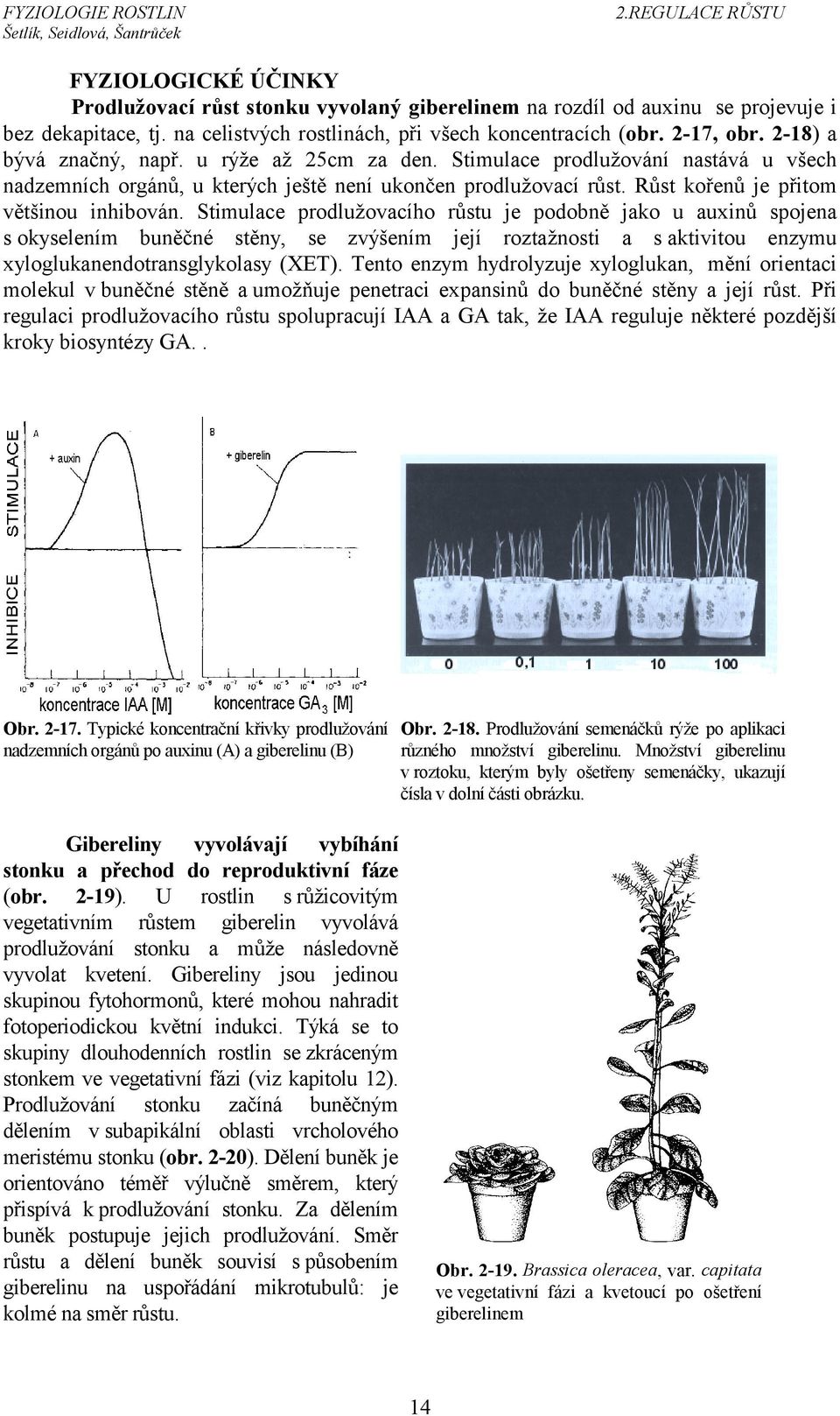 Stimulace prodlužovacího růstu je podobně jako u auxinů spojena s okyselením buněčné stěny, se zvýšením její roztažnosti a s aktivitou enzymu xyloglukanendotransglykolasy (XET).