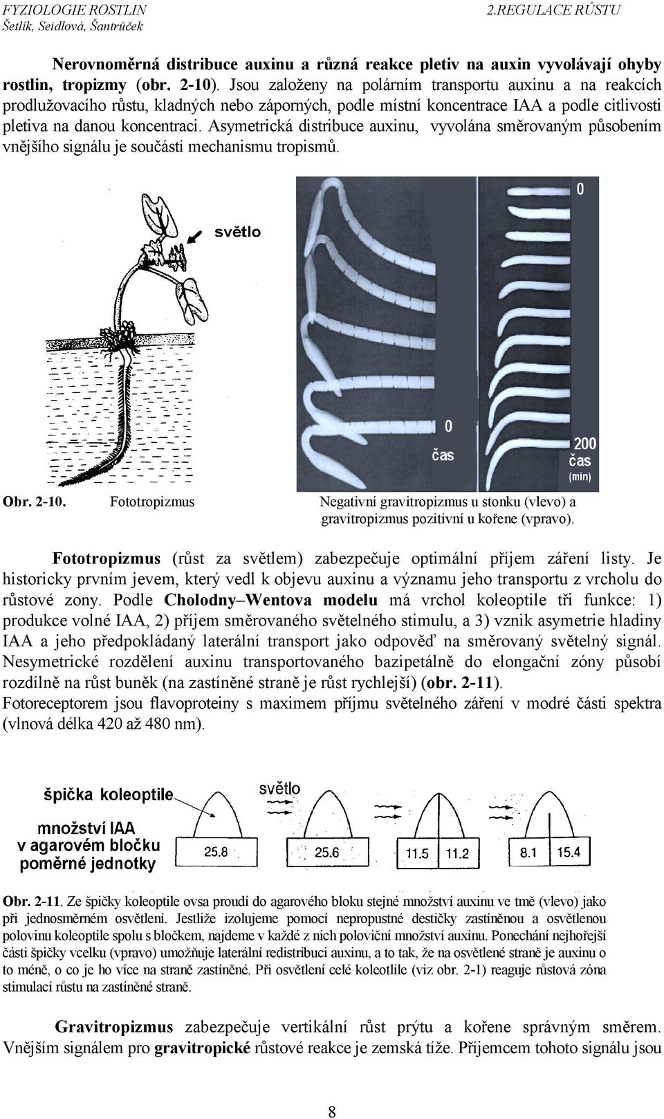 Asymetrická distribuce auxinu, vyvolána směrovaným působením vnějšího signálu je součástí mechanismu tropismů. Obr. 2-10.