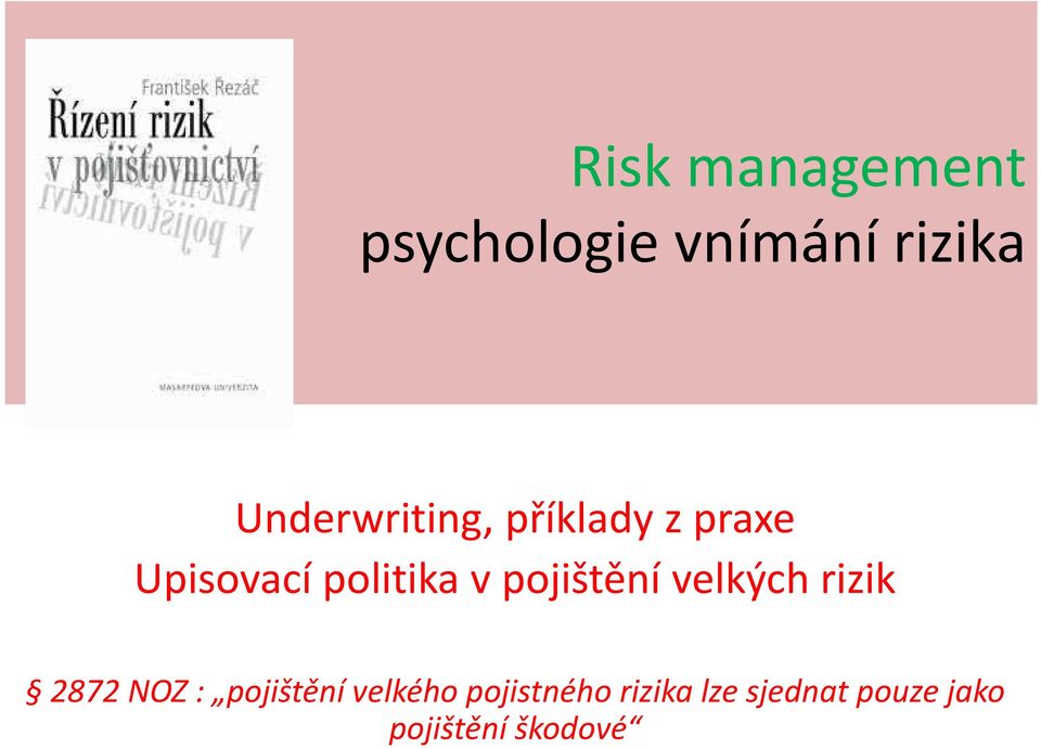 pojištění velkých rizik 2872 NOZ : pojištění