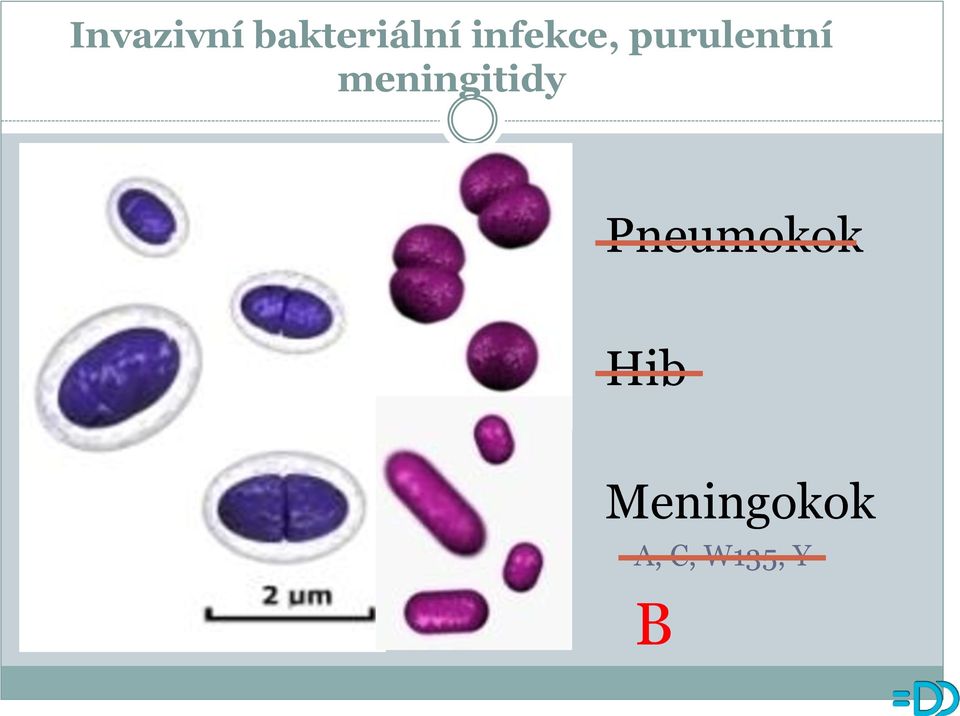 meningitidy Pneumokok
