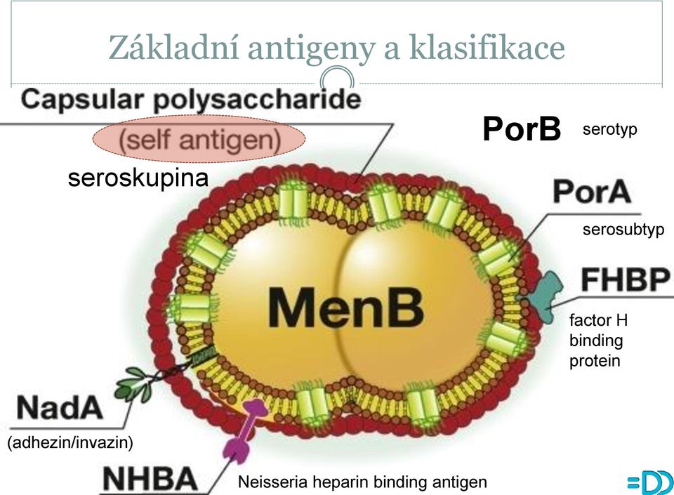 factor H binding protein