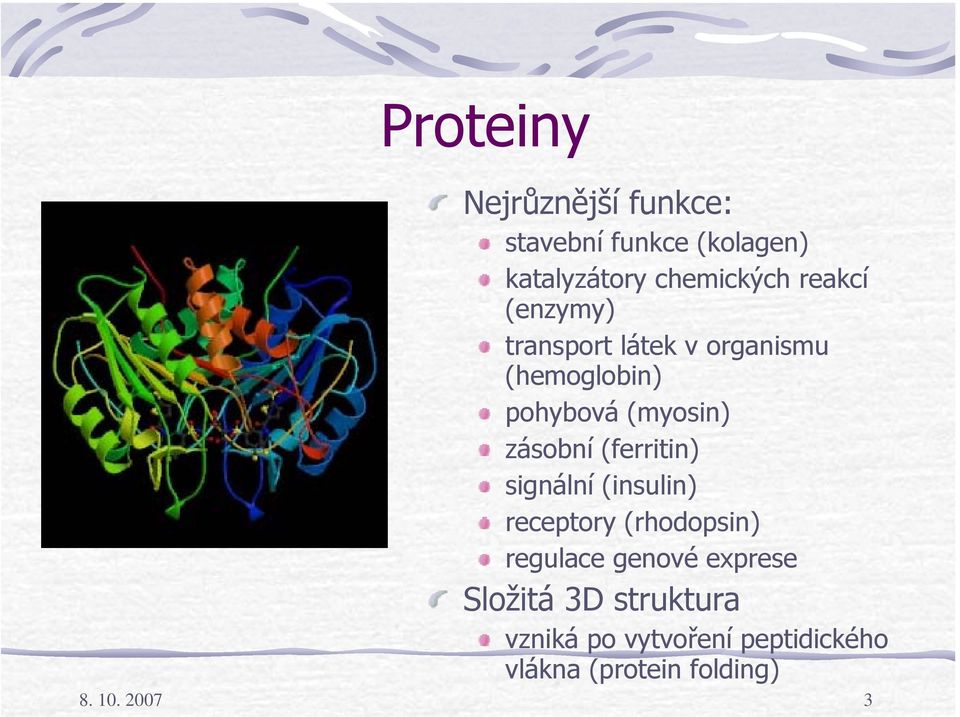 (ferritin) signální (insulin) receptory (rhodopsin) regulace genové exprese