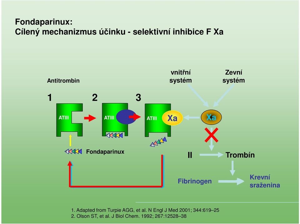 Fondaparinux II Trombín Fibrinogen Krevní sraženina 1.