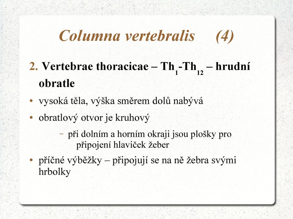 směrem dolů nabývá obratlový otvor je kruhový při dolním a