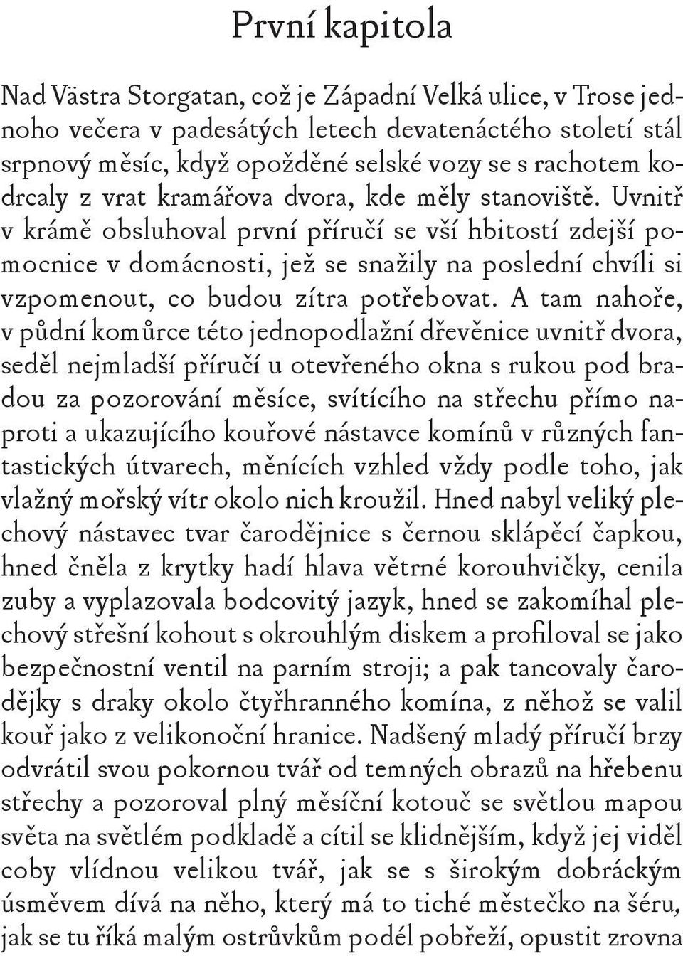 Uvnitř v krámě obsluhoval první příručí se vší hbitostí zdejší pomocnice v domácnosti, jež se snažily na poslední chvíli si vzpomenout, co budou zítra potřebovat.