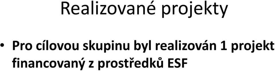 realizován 1 projekt