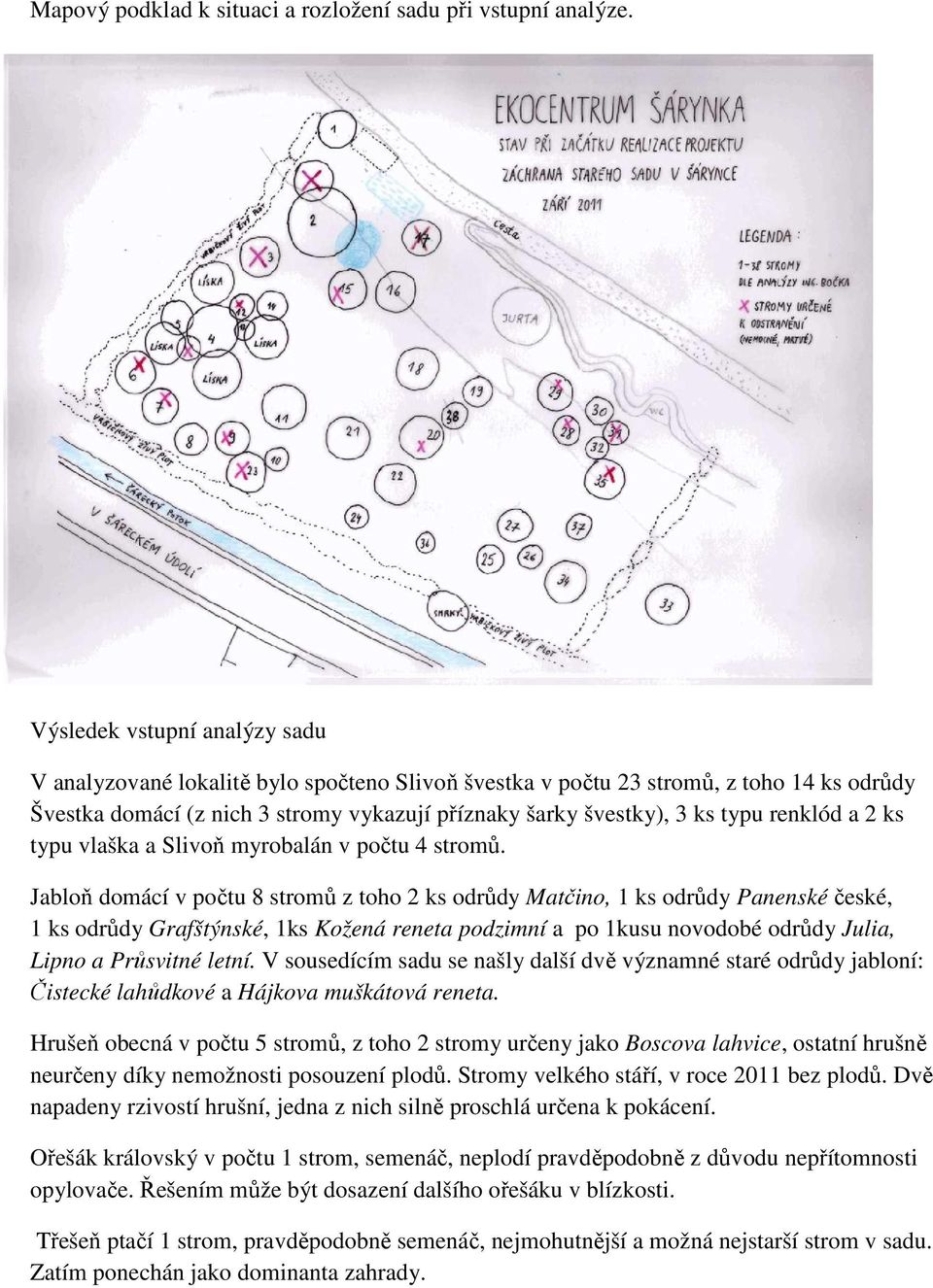 renklód a 2 ks typu vlaška a Slivoň myrobalán v počtu 4 stromů.