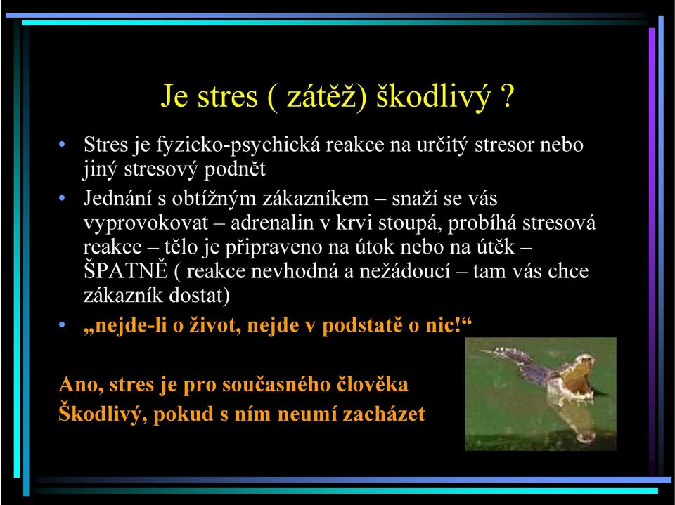 vás vyprovokovat adrenalin v krvi stoupá, probíhá stresová reakce tělo je připraveno na útok nebo na útěk ŠPATNĚ (