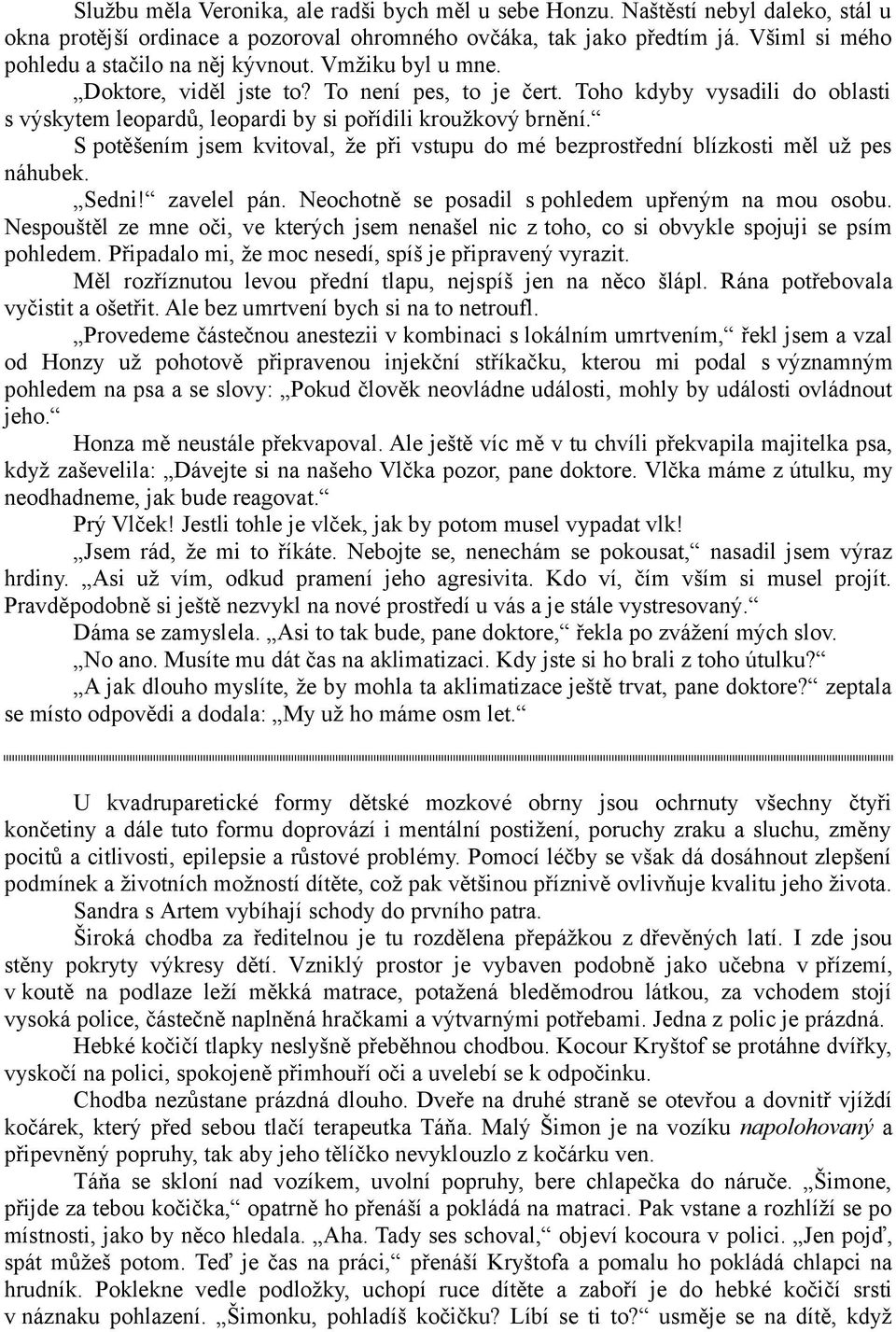 Toho kdyby vysadili do oblasti s výskytem leopardů, leopardi by si pořídili kroužkový brnění. S potěšením jsem kvitoval, že při vstupu do mé bezprostřední blízkosti měl už pes náhubek. Sedni!