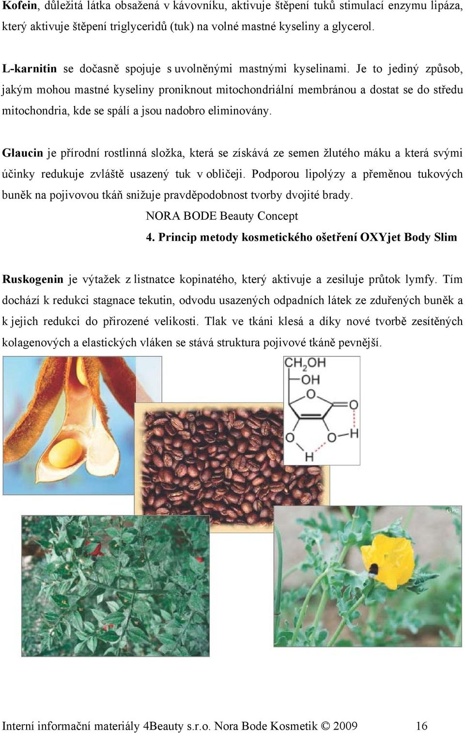 Je to jediný způsob, jakým mohou mastné kyseliny proniknout mitochondriální membránou a dostat se do středu mitochondria, kde se spálí a jsou nadobro eliminovány.