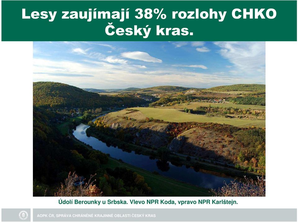 Údolí Berounky u Srbska.
