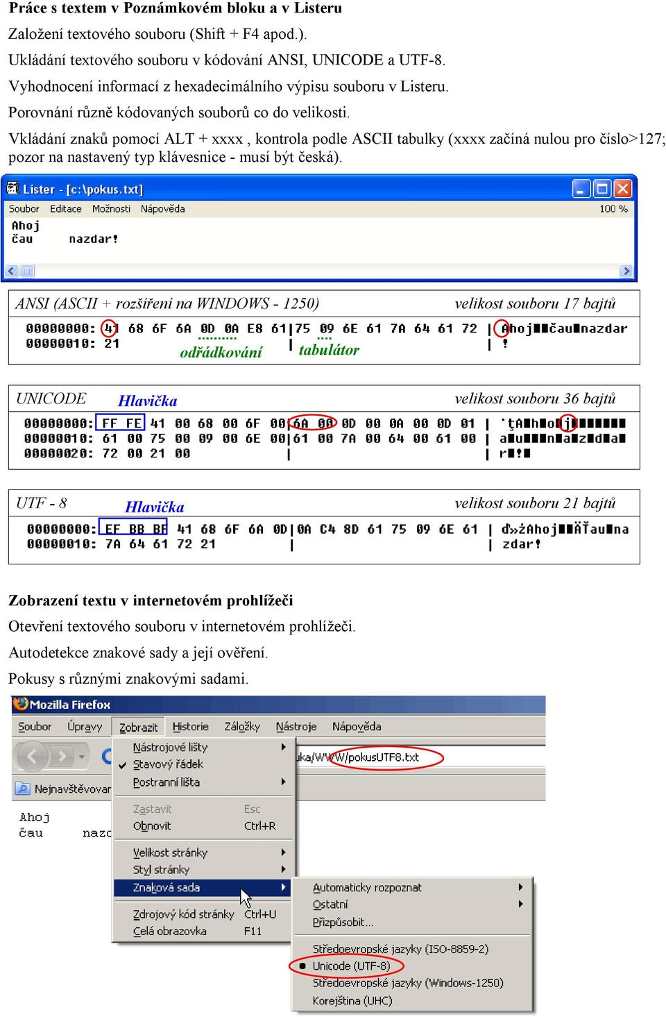 Vkládání znaků pomocí ALT + xxxx, kontrola podle ASCII tabulky (xxxx začíná nulou pro číslo>127; pozor na nastavený typ klávesnice - musí být česká).