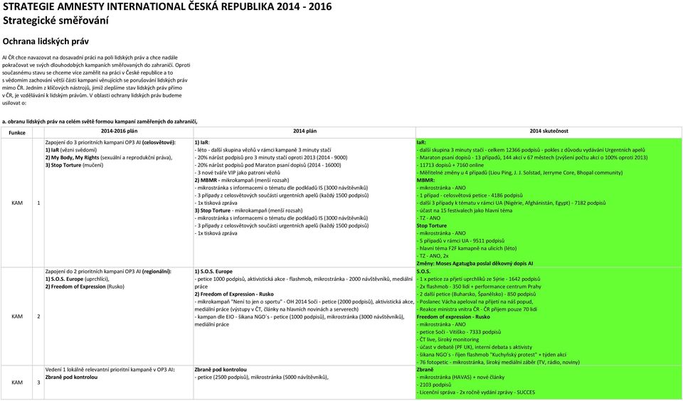 Oproti současnému stavu se chceme více zaměřit na práci v České republice a to s vědomím zachování větší části kampaní věnujících se porušování lidských práv mimo ČR.