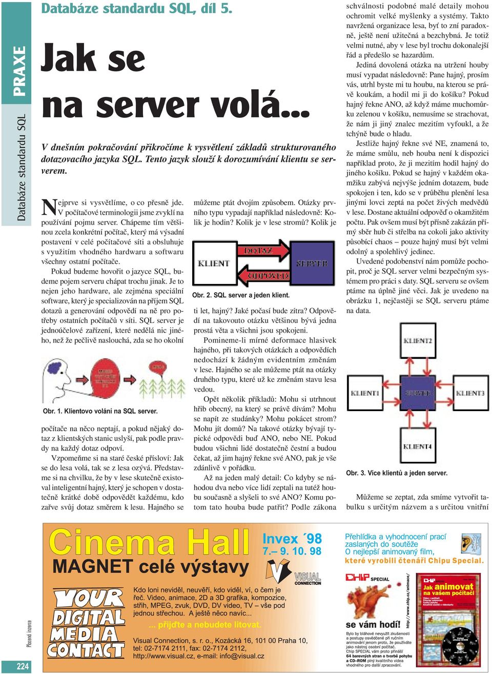 Chápeme tím většinou zcela konkrétní počítač, který má výsadní postavení v celé počítačové síti a obsluhuje s využitím vhodného hardwaru a softwaru všechny ostatní počítače.