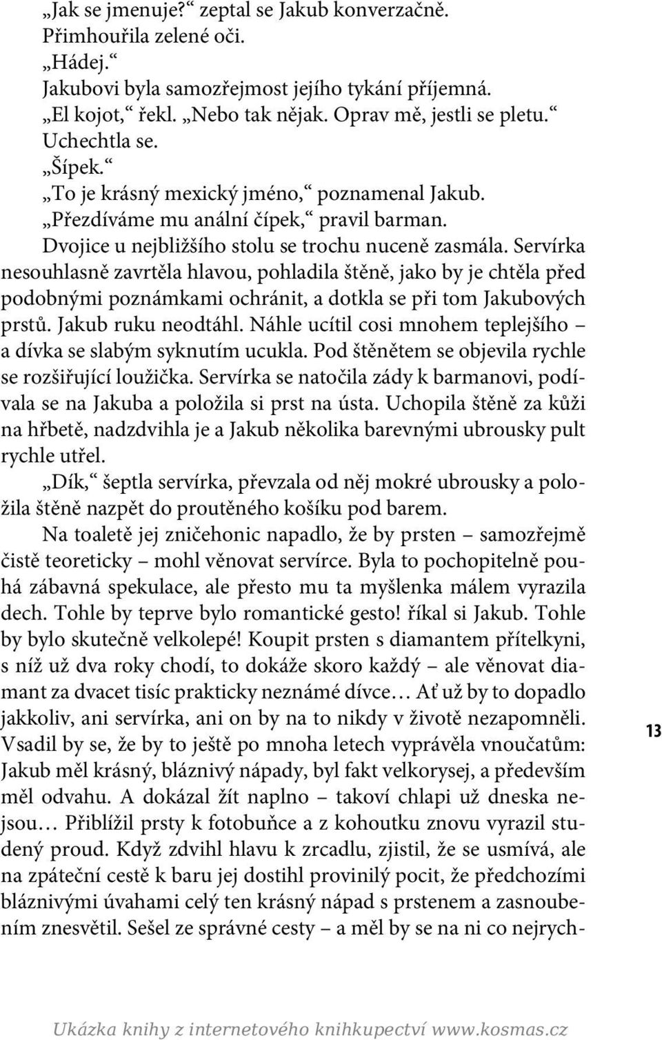 Servírka nesouhlasně zavrtěla hlavou, pohladila štěně, jako by je chtěla před podobnými poznámkami ochránit, a dotkla se při tom Jakubových prstů. Jakub ruku neodtáhl.