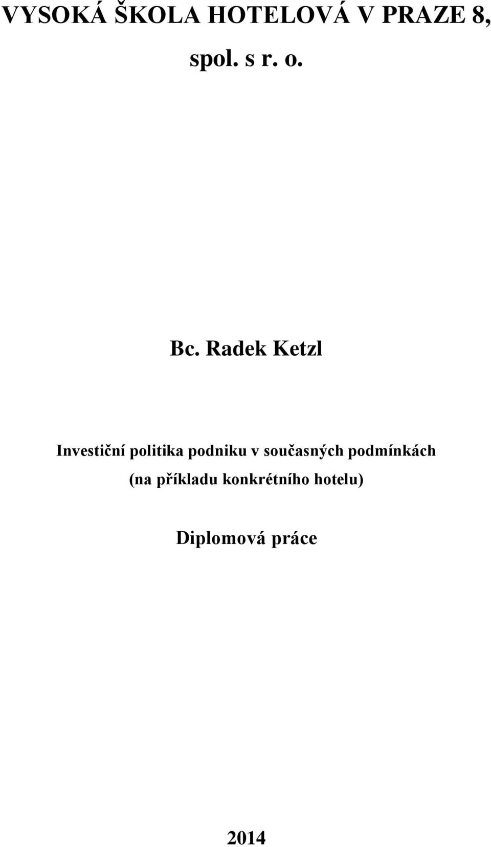 Radek Ketzl Investiční politika podniku v