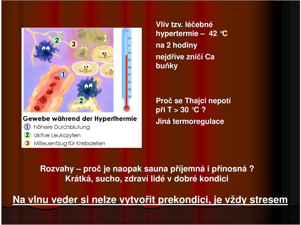 Thajci nepotí při T > 30 C?