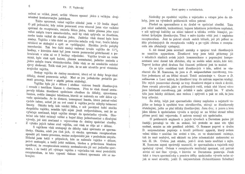 ]edenácte, kdy zatím pozornost svou věnoval jsem více vnikání spellnat do reeeptacula, zmizela blána jádra, takže plasma jeho nyní volná nabyla tvaru amoebovitého, aniž by však splývala se žloutkem,