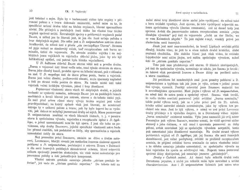 Zevrubnější zpr<ívy o pohlavních orgánech podal BUUN, u něho:í: jen to litovati jest, :í:e jen dle fezu určuje polohu a tvar dotyčných orgánu. Dle něho jest u D.