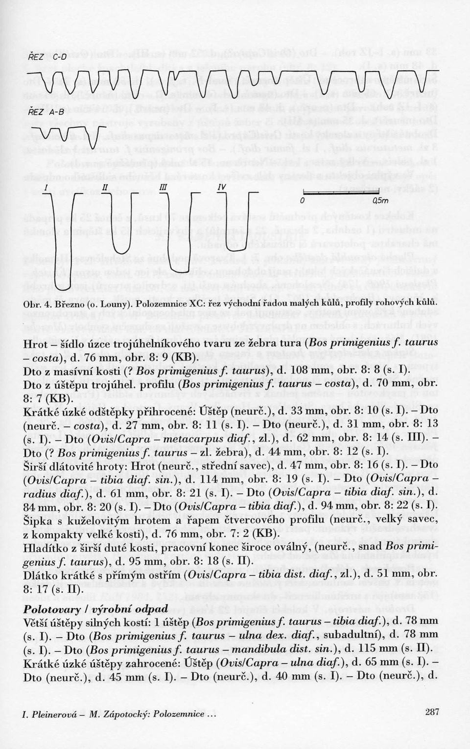 70 mm, obr. 8: 7 (KB). Kratke lizke odstepky pfihrocene: Ustep (neurc.), d. 33 mm, obr. 8: 10 (s. I). Dto (neurc. costa), d. 27 mm, obr. 8: 11 (s. I). Dto (neurc.), d. 31 mm, obr. 8: 13 (s. I). Dto (Ovis/Capra metacarpus diaf.