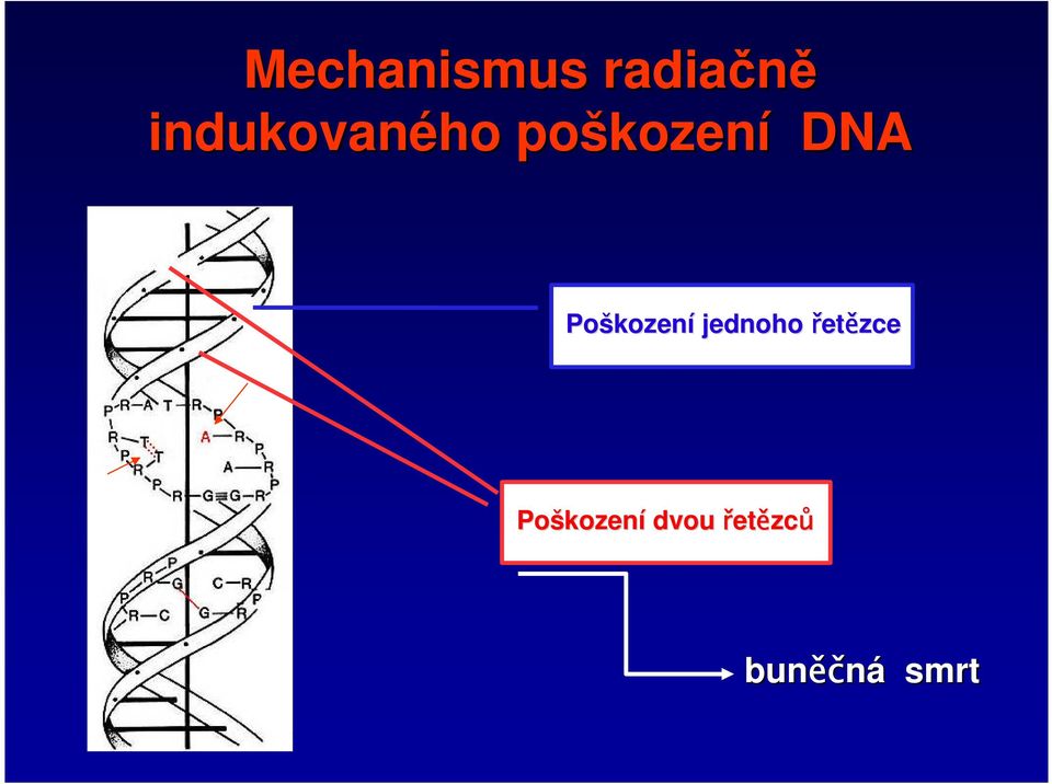 Poškozen kození jednoho řetězce