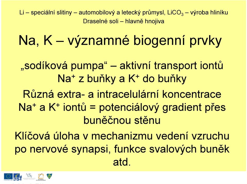 buňky Různá extra- a intracelulární lá koncentrace Na + a K + iontů = potenciálový gradient přes