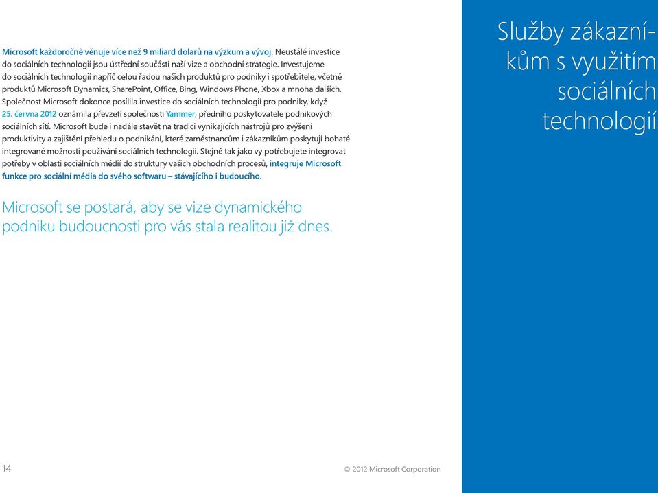 Společnost Microsoft dokonce posílila investice do sociálních technologií pro podniky, když 25. června 2012 oznámila převzetí společnosti Yammer, předního poskytovatele podnikových sociálních sítí.