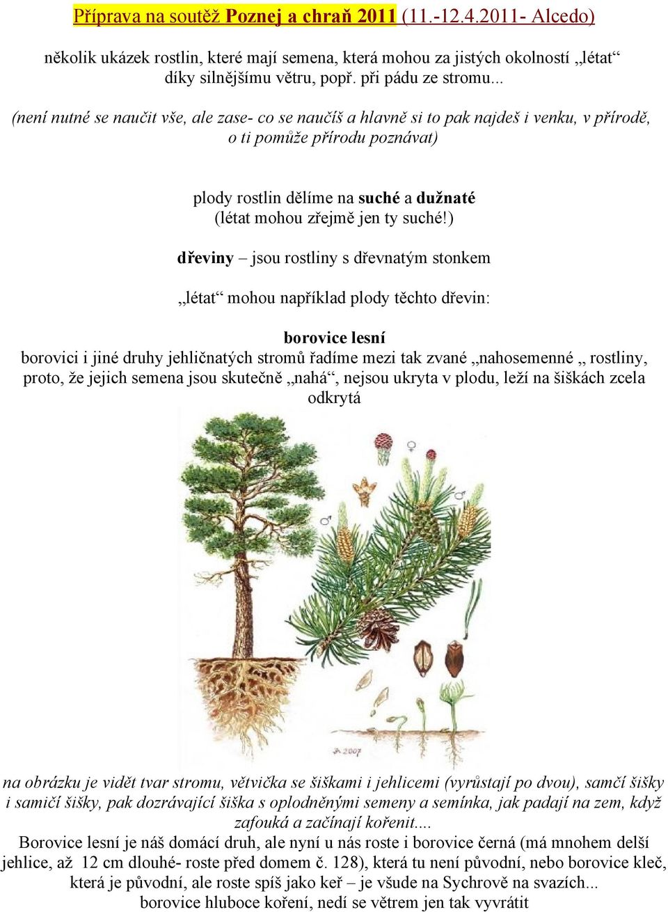 ) dřeviny jsou rostliny s dřevnatým stonkem létat mohou například plody těchto dřevin: borovice lesní borovici i jiné druhy jehličnatých stromů řadíme mezi tak zvané nahosemenné rostliny, proto, že