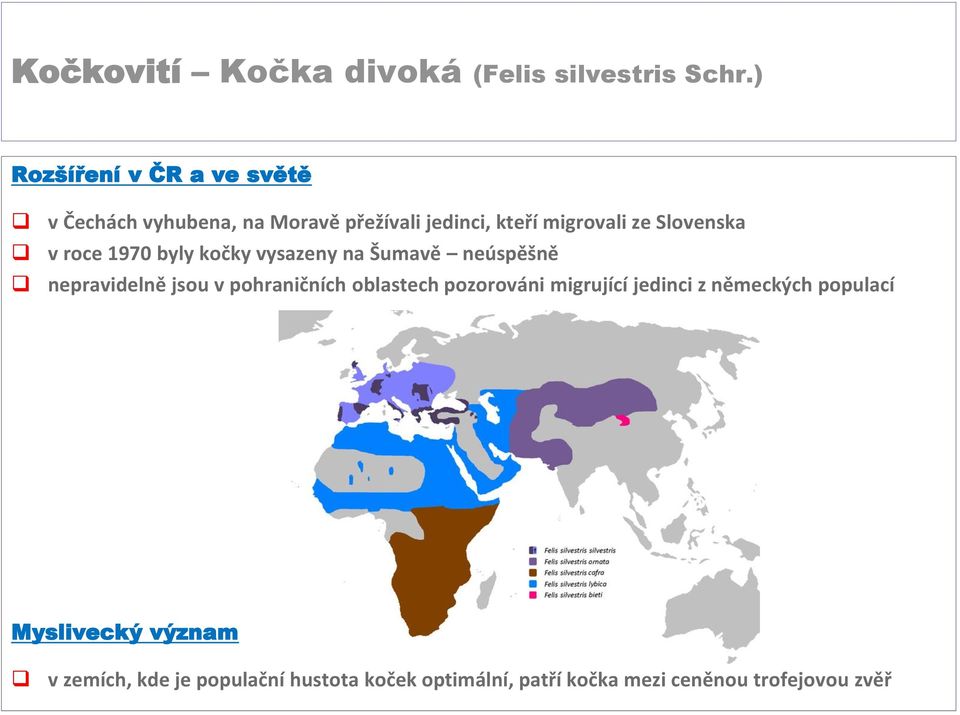 Slovenska v roce 1970 byly kočky vysazeny na Šumavě neúspěšně nepravidelně jsou v pohraničních