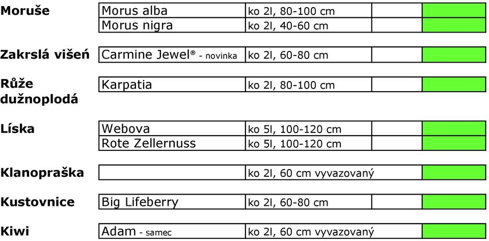 Webova ko 5l, 100-120 cm Rote Zellernuss ko 5l,