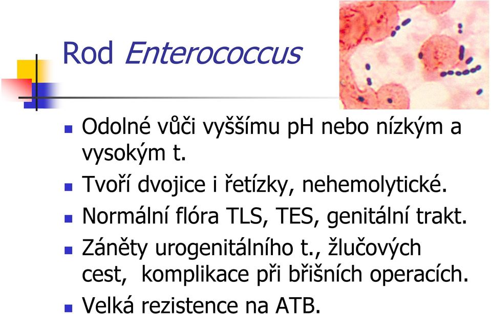 Normální flóra TLS, TES, genitální trakt.