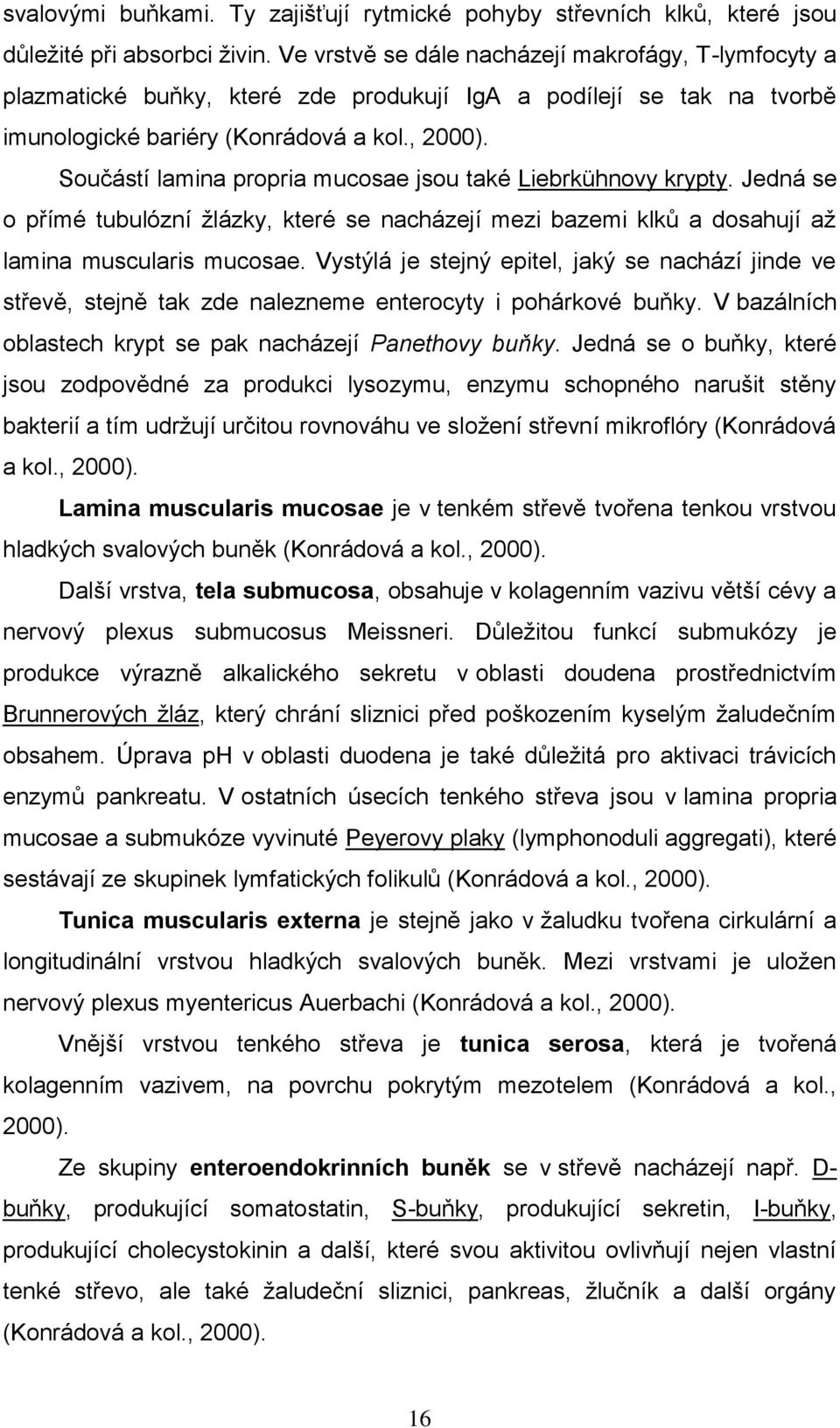 Součástí lamina propria mucosae jsou také Liebrkühnovy krypty. Jedná se o přímé tubulózní žlázky, které se nacházejí mezi bazemi klků a dosahují až lamina muscularis mucosae.