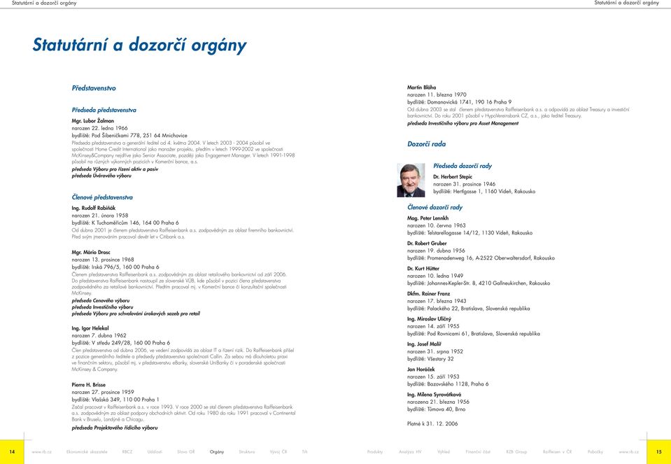 V letech 2003-2004 působil ve společnosti Home Credit International jako manažer projektu, předtím v letech 1999-2002 ve společnosti McKinsey&Company nejdříve jako Senior Associate, později jako