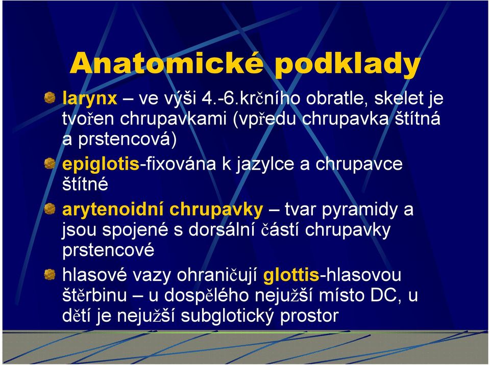 epiglotis-fixována k jazylce a chrupavce štítné arytenoidní chrupavky tvar pyramidy a jsou