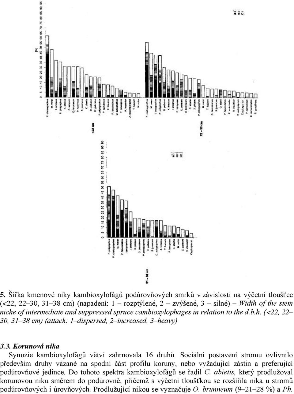 Sociální postavení stromu ovlivnilo především druhy vázané na spodní část profilu koruny, nebo vyžadující zástin a preferující podúrovňové jedince. Do tohoto spektra kambioxylofágů se řadil C.