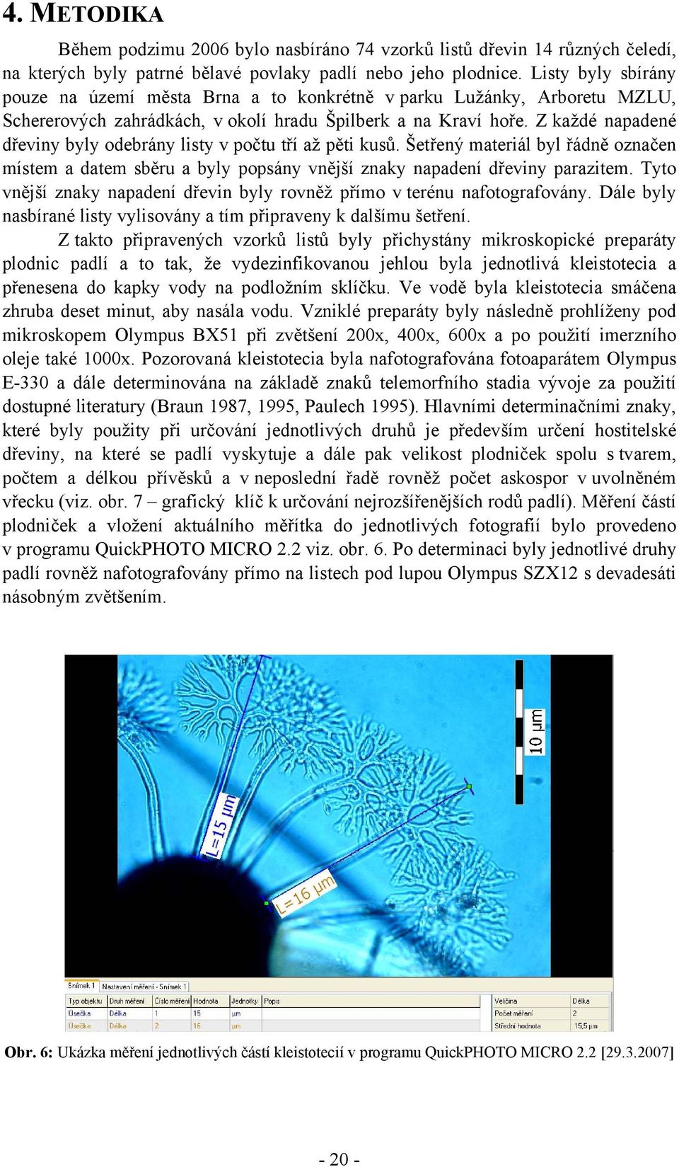 Z každé napadené dřeviny byly odebrány listy v počtu tří až pěti kusů. Šetřený materiál byl řádně označen místem a datem sběru a byly popsány vnější znaky napadení dřeviny parazitem.