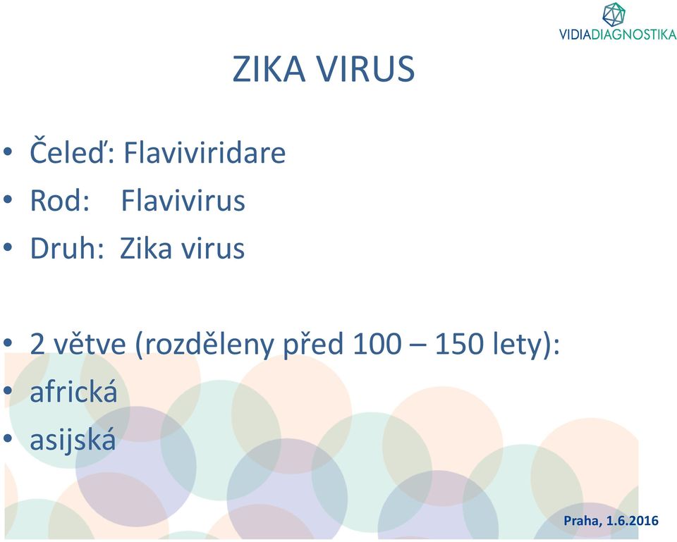 Druh: Zika virus 2 větve