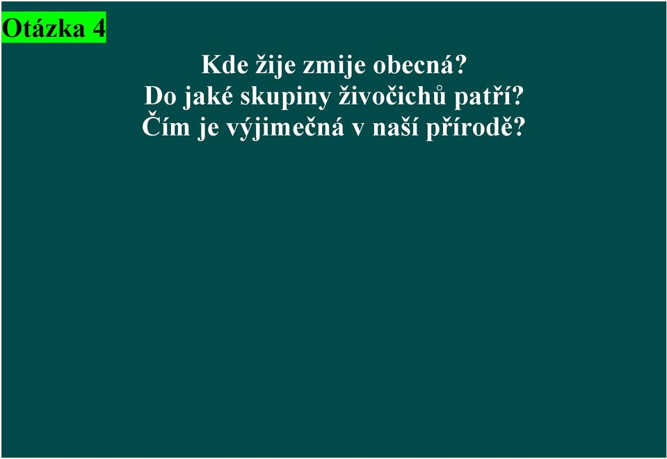 Do jaké skupiny