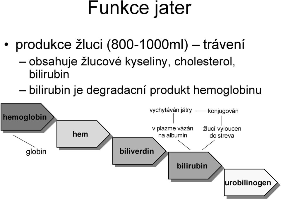 hemoglobinu hemoglobin globin hem biliverdin vychytáván játry v