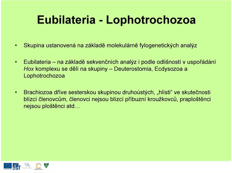 skupiny Deuterostomia, Ecdysozoa a Lophotrochozoa Brachiozoa dříve sesterskou skupinou druhoústých,