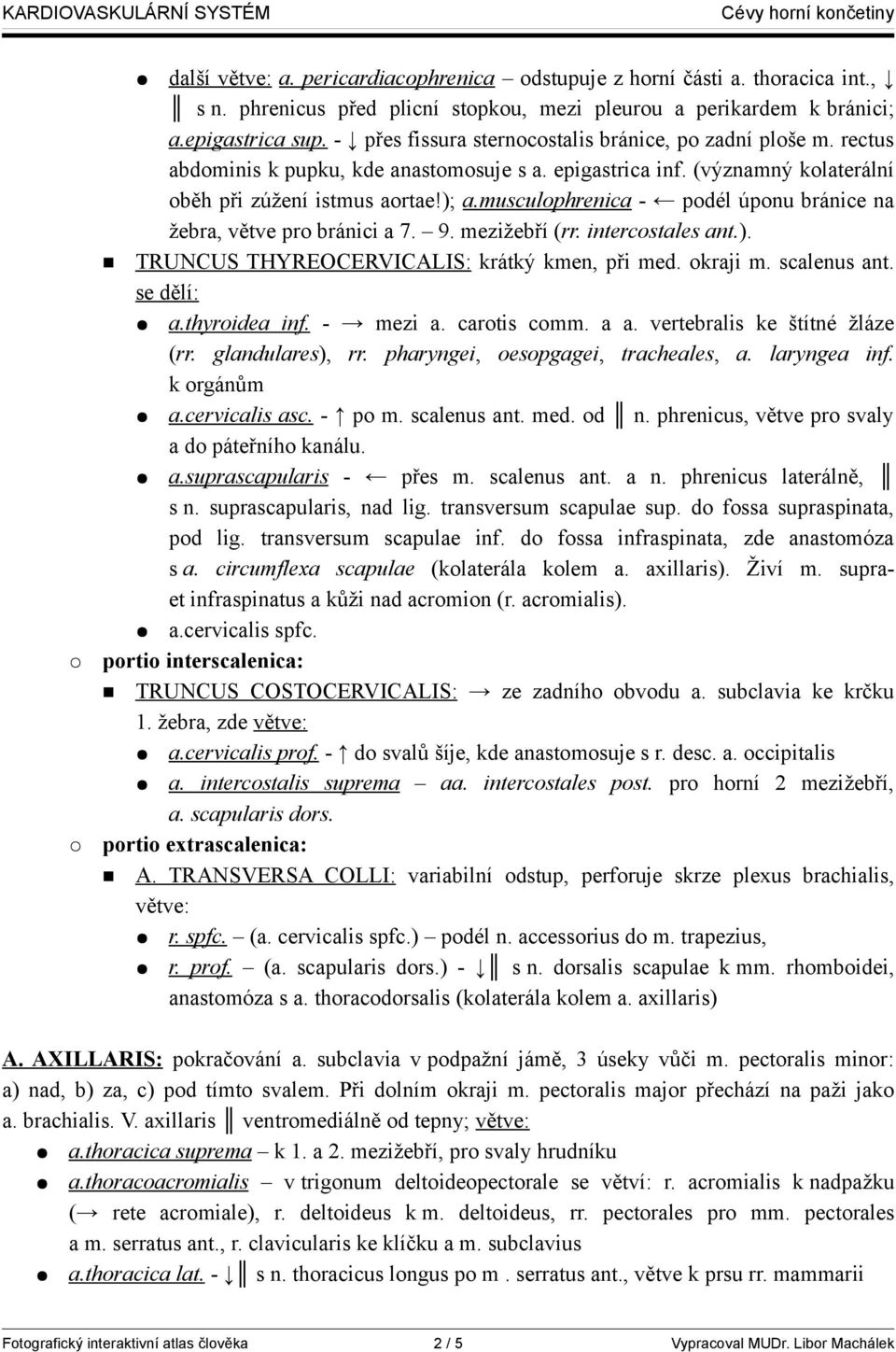 musculophrenica - podél úponu bránice na žebra, větve pro bránici a 7. 9. mezižebří (rr. intercostales ant.). TRUNCUS THYREOCERVICALIS: krátký kmen, při med. okraji m. scalenus ant. se dělí: a.