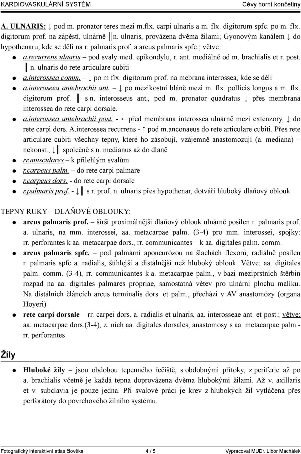 brachialis et r. post. n. ulnaris do rete articulare cubiti a.interossea comm. po m flx. digitorum prof. na mebrana interossea, kde se dělí a.interoseea antebrachii ant. po mezikostní bláně mezi m.