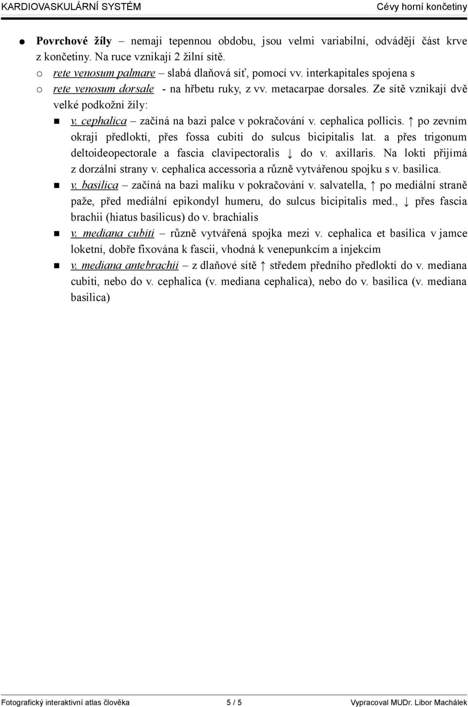 cephalica pollicis. po zevním okraji předloktí, přes fossa cubiti do sulcus bicipitalis lat. a přes trigonum deltoideopectorale a fascia clavipectoralis do v. axillaris.