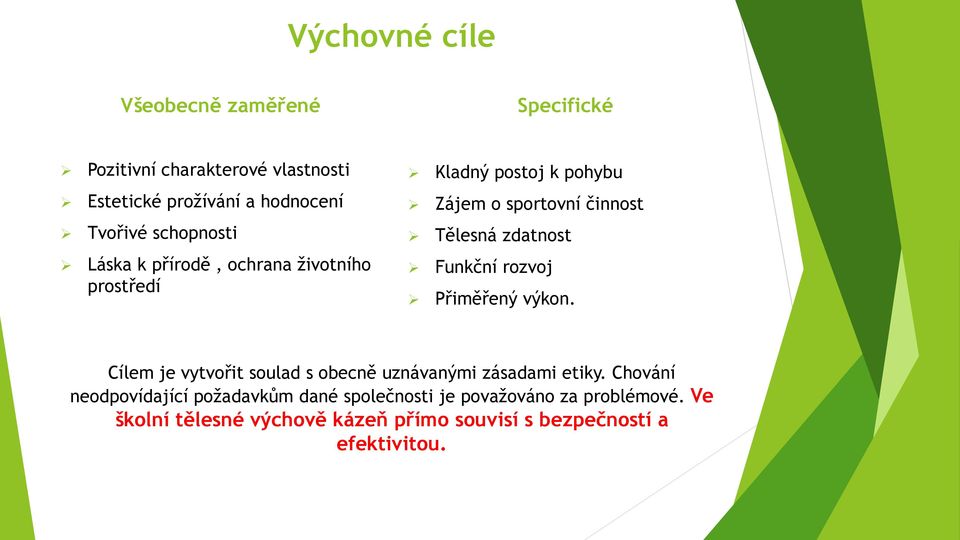 Funkční rozvoj Přiměřený výkon. Cílem je vytvořit soulad s obecně uznávanými zásadami etiky.