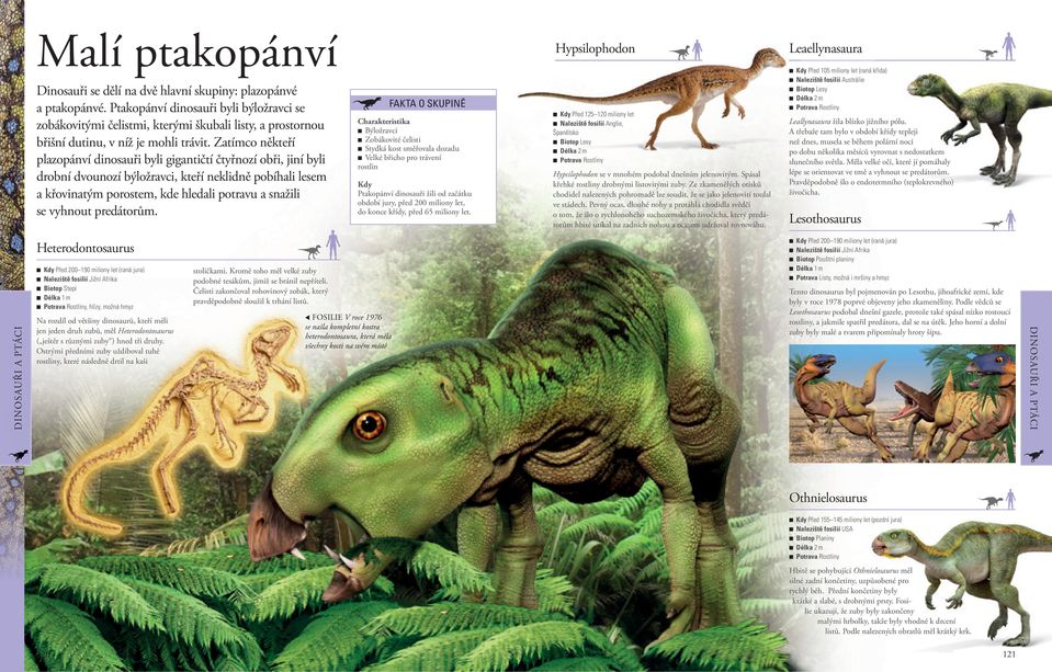 Zatímco někteří plazopánví dinosauři byli gigantičtí čtyřnozí obři, jiní byli drobní dvounozí býložravci, kteří neklidně pobíhali lesem a křovinatým porostem, kde hledali potravu a snažili se vyhnout