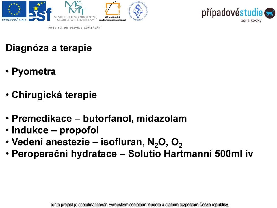 propofol Vedení anestezie isofluran, N 2 O, O