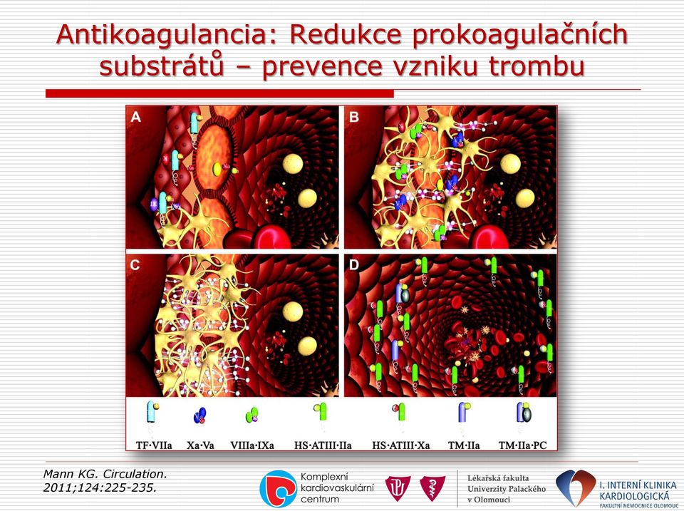 prevence vzniku trombu Mann