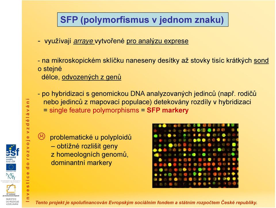 analyzovaných jedinců (např.