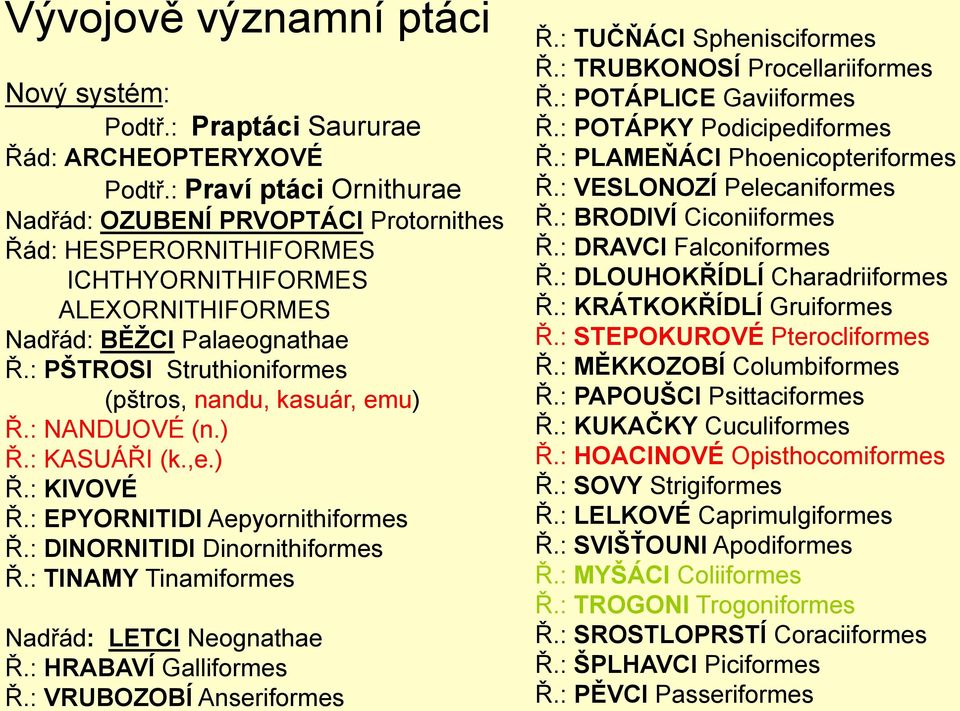 : PŠTROSI Struthioniformes (pštros, nandu, kasuár, emu) Ř.: NANDUOVÉ (n.) Ř.: KASUÁŘI (k.,e.) Ř.: KIVOVÉ Ř.: EPYORNITIDI Aepyornithiformes Ř.: DINORNITIDI Dinornithiformes Ř.